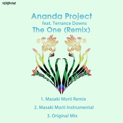 Ananda Project, Terrance Downs - The One (Remix) [KNG950]